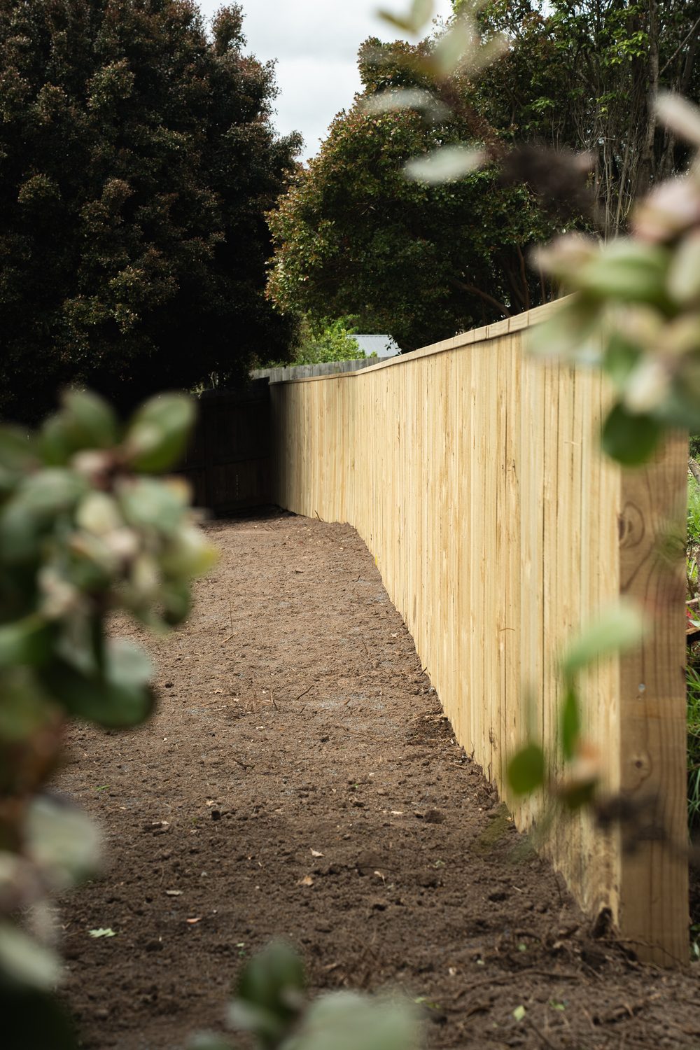 Timber paling fence running into the distance, framed by leaves in the foreground