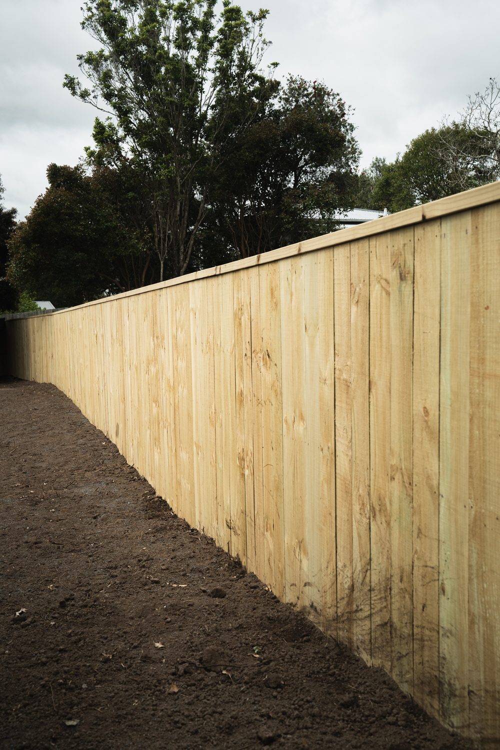 Freshly built timber paling fence along a boundary, bare soil in front and trees behind