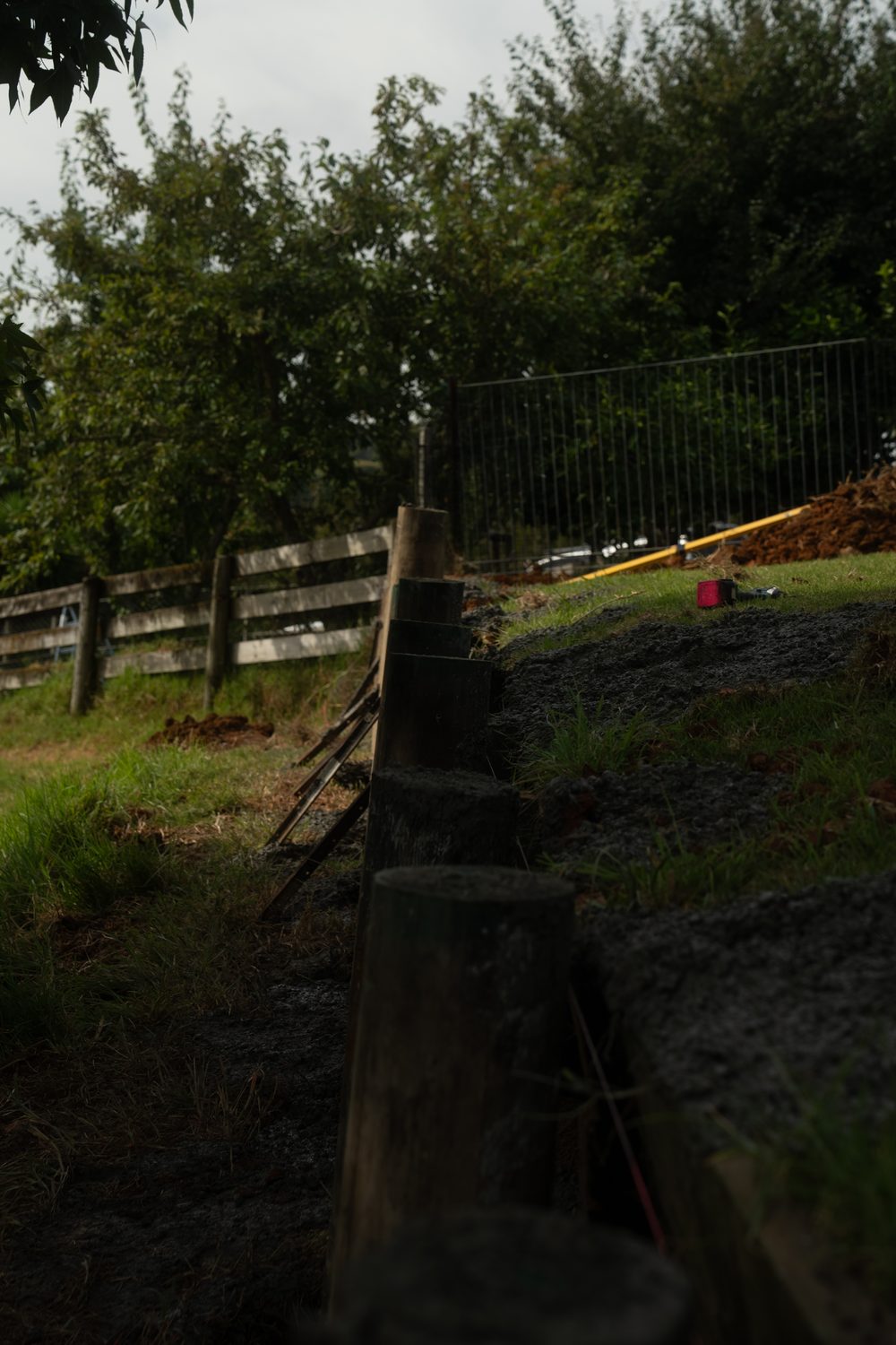 Low angle along a timber retaining wall running up a grassy slope under trees